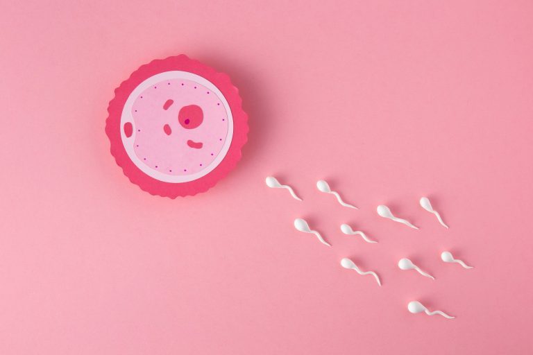 fertilización-in-vitro